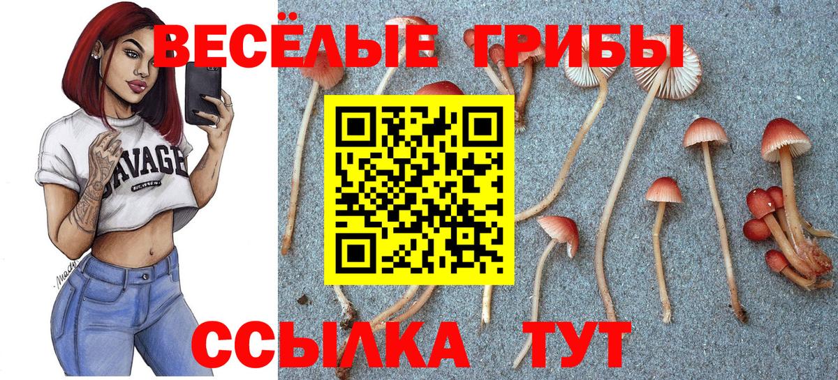 Магадан  МДМА  Бошки Шишки  Лсд 25  NBOMe  Вход с VPN  Гашиш  Мефедрон   Cocaine 