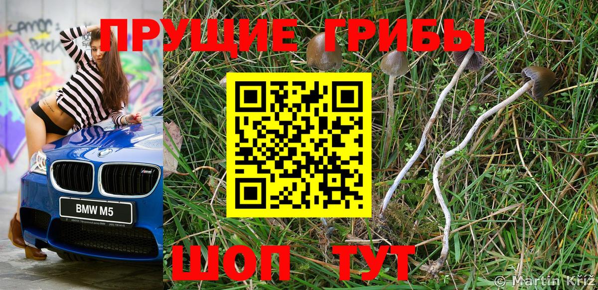 Галлюциногенные грибы мухоморы Магадан
